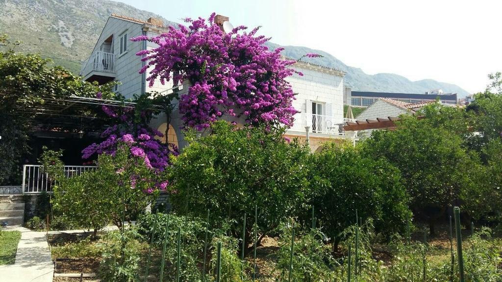 Apartments Husanovic Mokošica Eksteriør billede