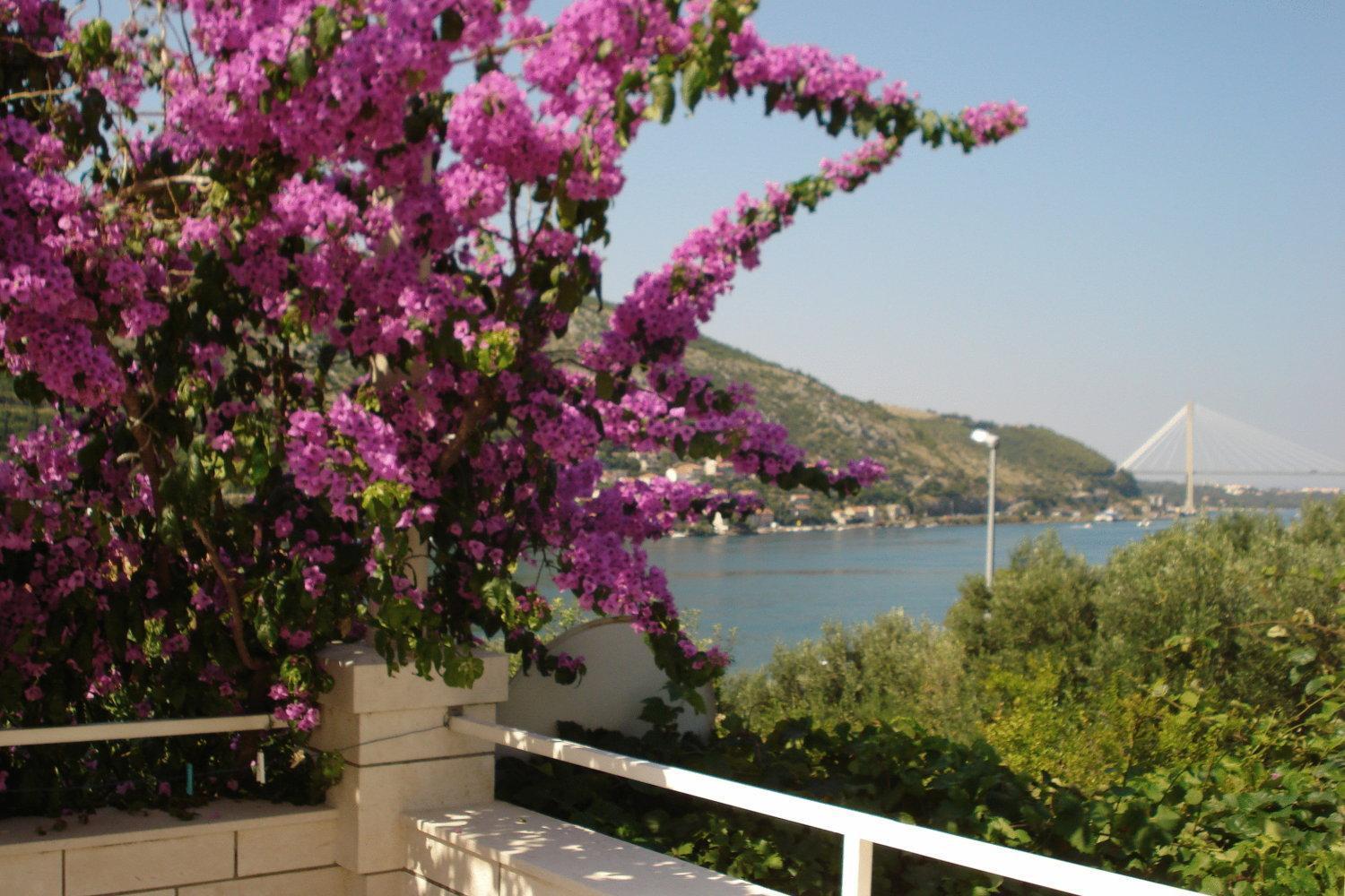 Apartments Husanovic Mokošica Eksteriør billede