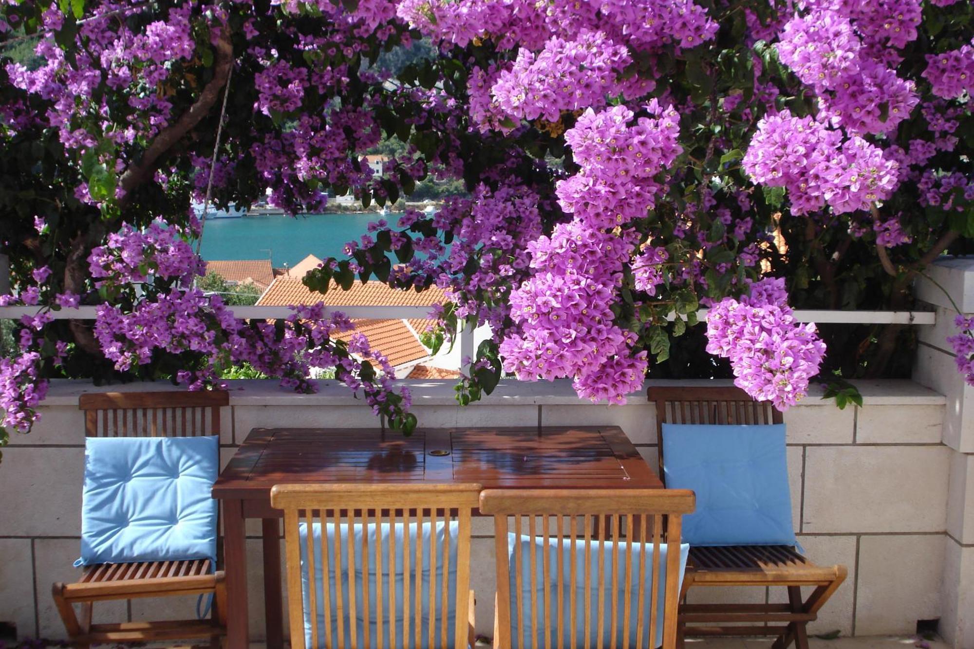 Apartments Husanovic Mokošica Eksteriør billede