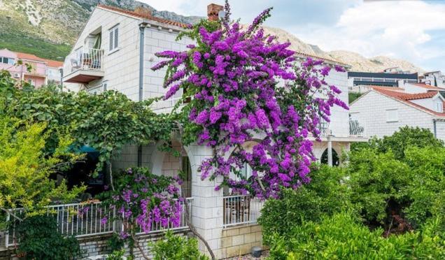 Apartments Husanovic Mokošica Værelse billede